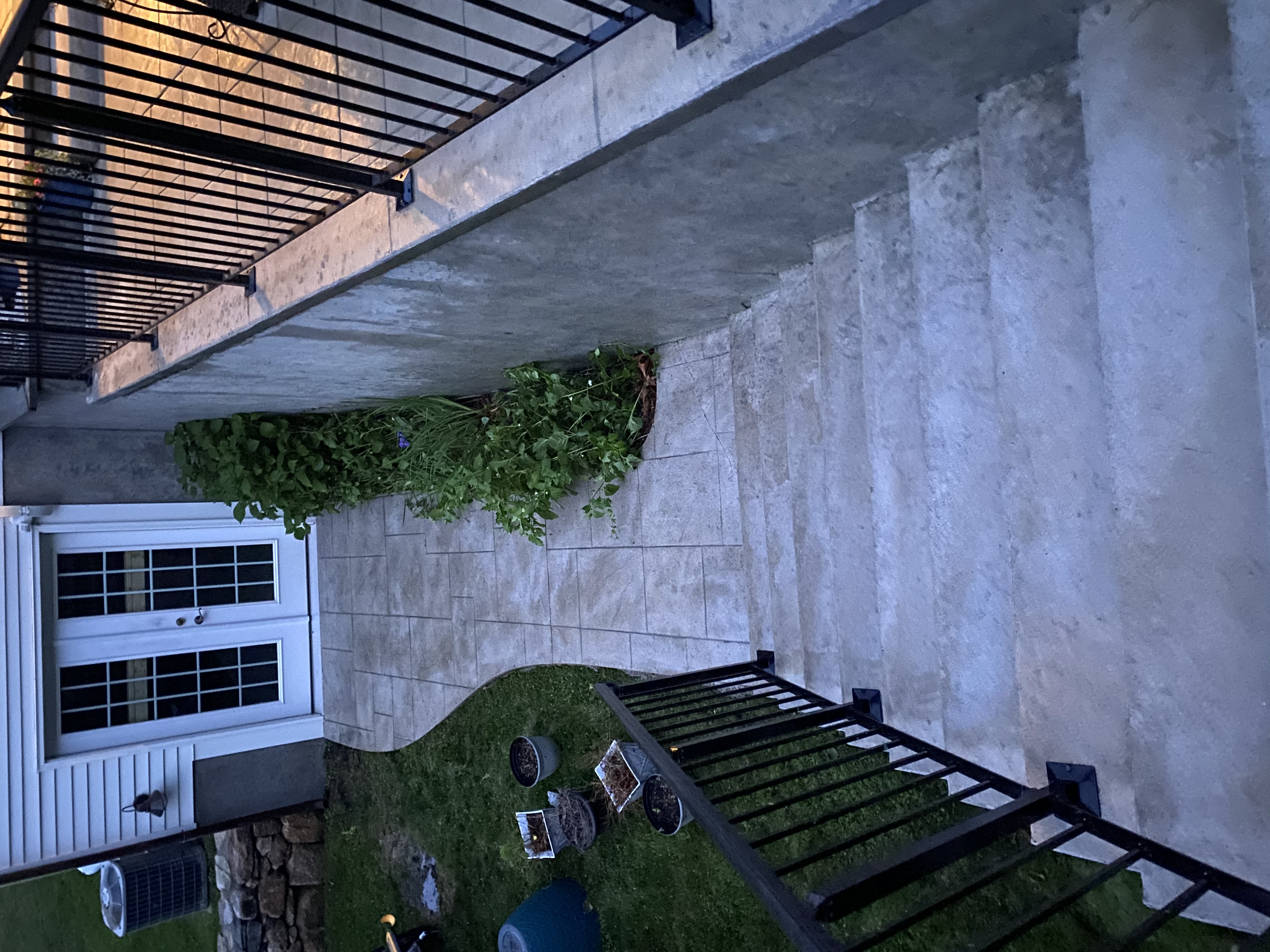 House soft washing service